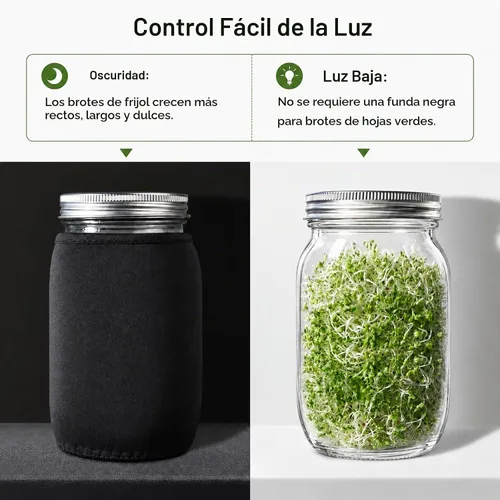 Vista 3 de Kit de tarros de germinación de semillas – 2 tarros de masón de boca ancha con tapas de germinación de acero inoxidable 316, bandeja de goteo