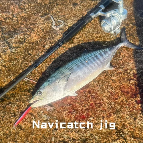 Vista 8 de Señuelos de pesca de agua salada, plantillas de pesca, cucharas de pesca para lubina, pompano, caballa española, pescado azul