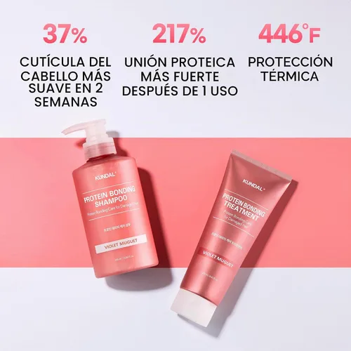 Vista 3 de KUNDAL Set de Champú y Acondicionador de Unión de Proteínas para Cuidado del Cabello Coreano, Reparación de Daños, Control del Frizz, Protección