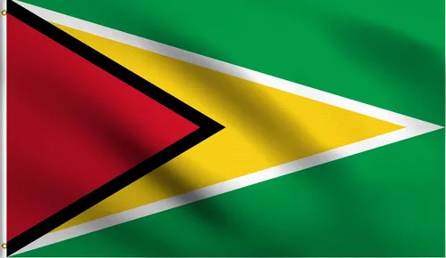 Vista 98 de DMSE - Bandera nacional beninesa beninesa de la República de África Occidental, 2 x 3 pies, 100 % poliéster, 100 % poliéster, resistente a los rayos