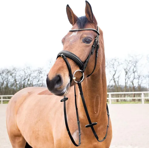Vista 3 de HORZE Lester Dressage Snaffle Bridle w/Riendas