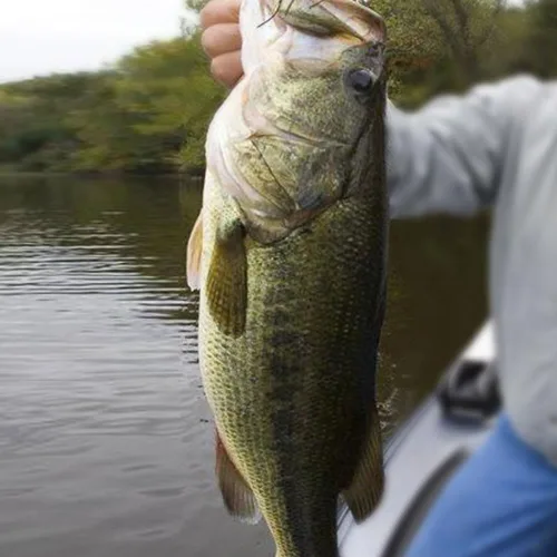Vista 6 de Plantillas de natación para lubina, señuelos de pesca Swimbait Underspin Jigs 1/2 3/8 1/4 oz Surtido de 6 paquetes (6 colores)