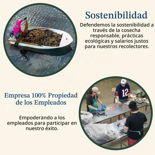 Vista 7 de Maine Coast, Dulse Whole Organic, 2 onzas