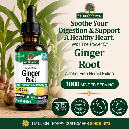 Vista 2 de Natures Answer Raíz de jengibre 1000 mg, 1 onza – Extracto sin alcohol