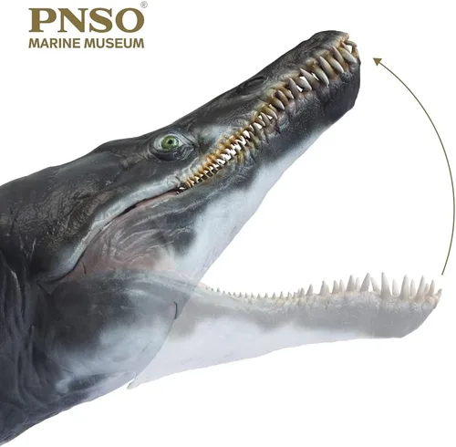 Vista 4 de Modelos de animales prehistóricos de PNSO (Jeff el KRONOSAURUS, modelo de arte científico de escala 1:35)