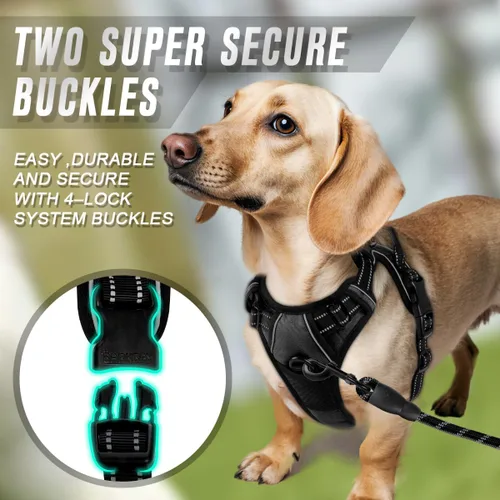 Vista 158 de BARKBAY - Arnés para perro sin tirones con clip frontal, material resistente y reflectante, asa de fácil control para pasear perros grandes