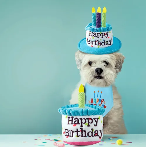 Vista 2 de Juego de sombreros y bufandas bandana para cachorros y gatos con velas coloridas azules para pequeños animes, suministros de fiesta de cumpleaños