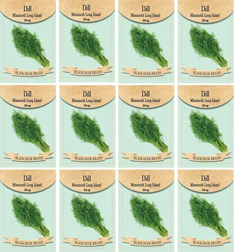 Vista 3 de Juego de 12 paquetes de semillas de verduras de roqueta de rúcula, crea un jardín de lujo, todas las semillas son reliquias, 100% sin OMG