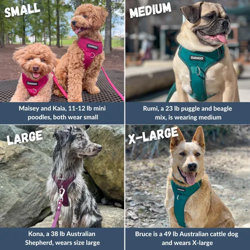 Vista 3 de DJANGO Tahoe Arnés para perro sin tirones, arnés para perros pequeños con clips delanteros y traseros para uso diario, ajustable, acolchado