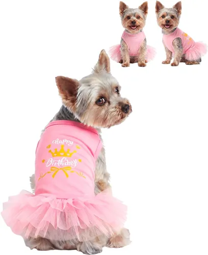 Vista 8 de CuteBone Vestido de cumpleaños para niña, ropa de princesa, disfraz de gato, ropa para perros pequeños, traje para mascotas, DD20XXS La princesa ha
