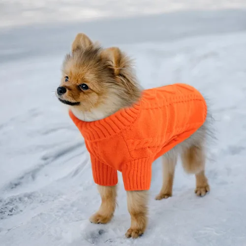 Vista 132 de Queenmore - Suéter de punto trenzado con cuello alto para perros pequeños, para climas fríos, para chihuahua, bulldog, teckel, carlino y yorkie, XS