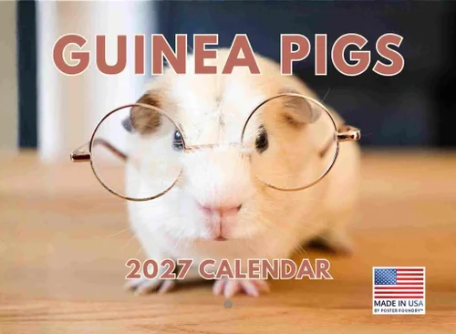 Vista 66 de Calendario mensual de pared de alpaca 2025 Fabricado en Estados Unidos