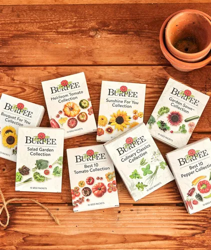 Vista 6 de Colección Burpee Best 10 Paquetes de Mezcla Fresca Sin OGM de Pimiento Picante y Variedades Dulces Jalapeño, Semillas de Pimiento Morrón y Más