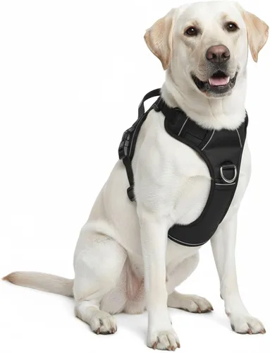 Vista 6 de Arnés sin tirones para perro, con 2 clips para correa, chaleco Oxford reflectante ajustable para mascotas con asa de fácil control para perros Negro
