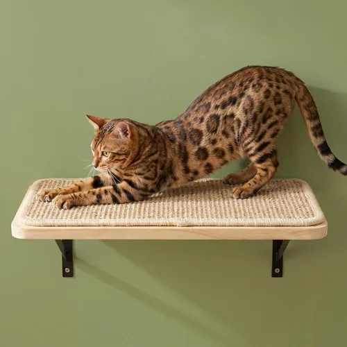 Vista 17 de Estante de Pared para Gatos con Percha de Ventana, Cama Hamaca para Gatos con Almohadilla para Rascar, Estante para Gatos para Trepar, Dormir