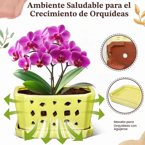 Vista 4 de Teenyyou - Maceta de orquídea de cerámica de 9.5 pulgadas con platillo para Amarillo