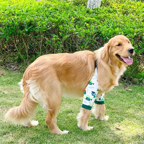 Vista 2 de Protector de codo para perro, coderas con almohadilla de malla para perros medianos y grandes para evitar lamer heridas (automóvil, 4XL)