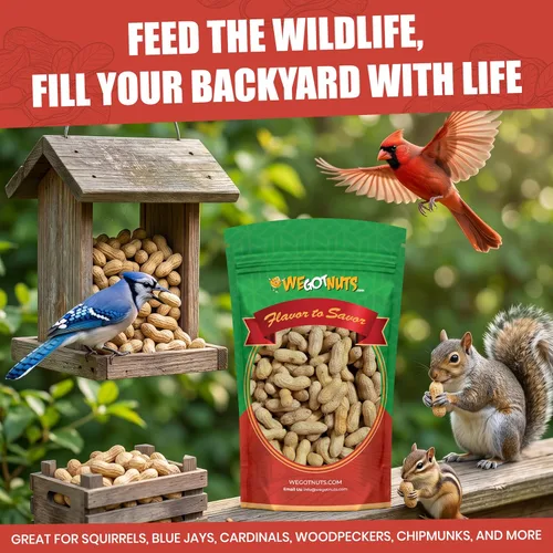 Vista 2 de We Got Nuts Raw in-Shell Peanuts, USA Grown, Unsalted, 5 LBs (80oz) - Natural Whole Peanuts for Birds, Squirrels & Backyard Wildlife and Humans