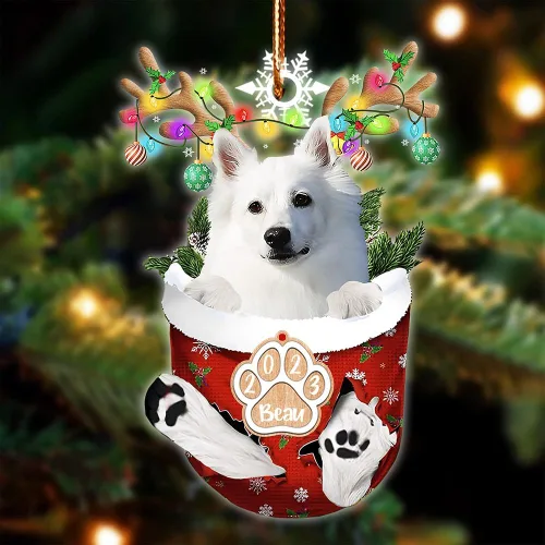 Vista 95 de NAZENTI Adorno Navideño de Bolsillo Personalizado de Affenpinscher en la Nieve, Adorno de Forma Acrílica de Perro, Adorno de Navidad 2023, Adorno