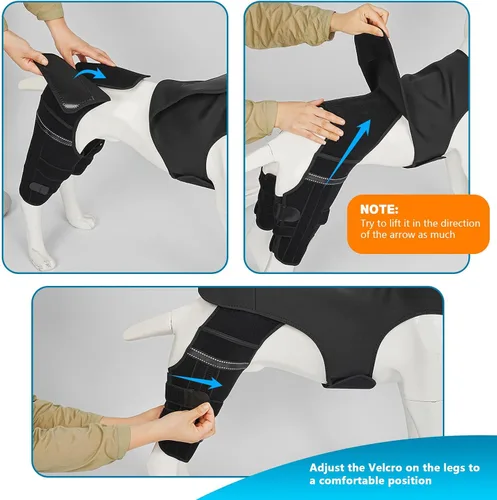 Vista 6 de Rodillera para perro para pierna trasera desgarrada, 4 estabilizadores, soporte de cadera ajustable para reducir el dolor, lesiones de ligamentos
