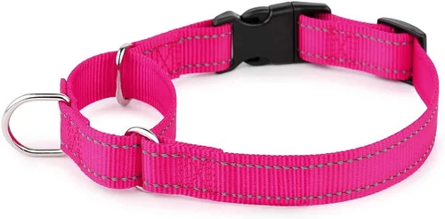 Vista 18 de Collar reflectante de martingala de Plutus Pet con hebilla - Collar de entrenamiento duradero y ajustable para evitar tirones, collar de gargantilla