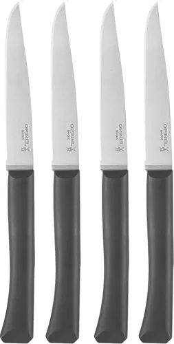 Vista 9 de Opinel Bon Appetit+ Juego de 4 cuchillos dentados aptos para lavavajillas - Cloud