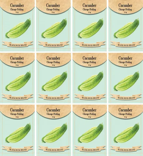 Vista 22 de Juego de 12 paquetes de semillas de verduras de roqueta de rúcula, crea un jardín de lujo, todas las semillas son reliquias, 100% sin OMG