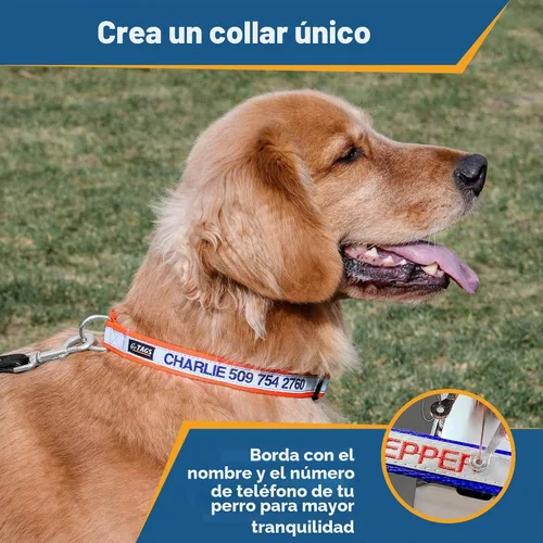 Vista 2 de GoTags Collar de perro personalizado reflectante, collar de seguridad Beige