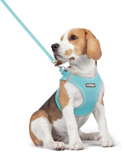 Vista 159 de rabbitgoo Arnés para perro de tamaño pequeño y juego de correa, chaleco Cachorros de manzana