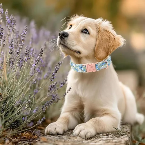 Vista 446 de Collar para perros del 4 de julio, collares patrióticos azules para cachorros y perros pequeños, ligero y ajustable 1776 collares para cachorros