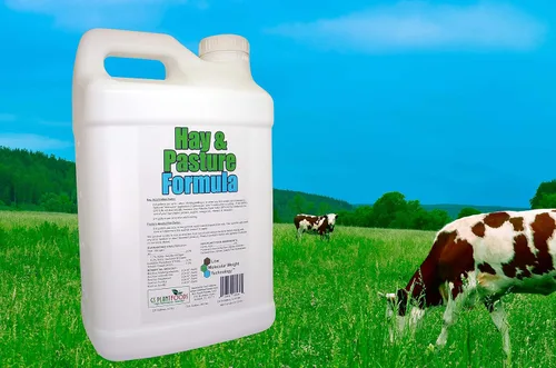 Vista 2 de Fórmula de heno y pastos de GS Plant Foods, fertilizante orgánico para pastos con ácido húmico y ácido fúlvico (5 galones), fórmula de pasto