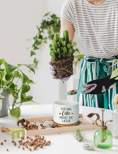 Vista 6 de Feeling Cute Might Die Later - Maceta de cerámica grabada para suculentas, aloe y cactus, divertidas macetas de interior con bandeja de bambú