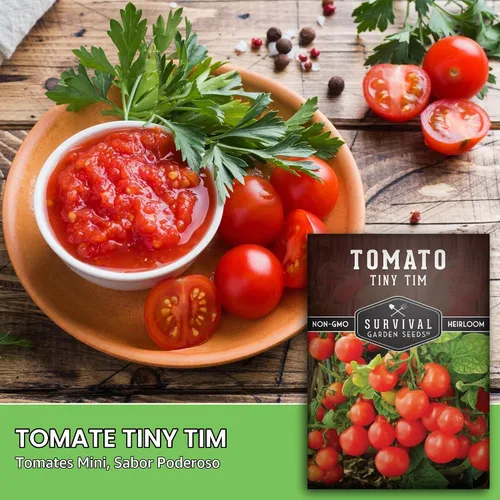 Vista 3 de Tiny Tim Semillas de tomate - Semillas de jardín de supervivencia (paquete de 1) Dwarf Cherry Tomatoes for Planting Indoors or Patio, Compact