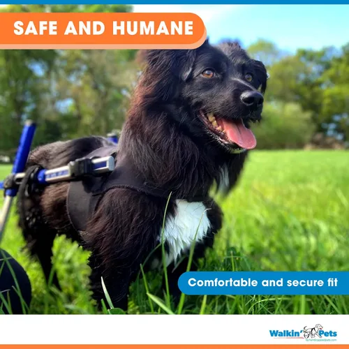 Vista 4 de Arnés delantero para perro Arnés sin tirones Diseñado para perros pequeños con pechos anchos Compatible con silla de ruedas para perros