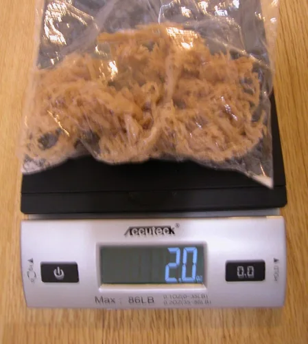 Vista 4 de Musgo marino natural (crudo) 2 oz - Musgo irlandés (CHONDRUS CRISPUS) NDQ