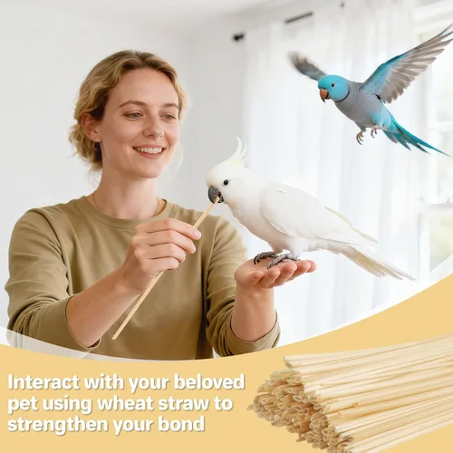 Vista 6 de MAQIHAN 200 juguetes masticables para pájaros, juguetes de loro de paja