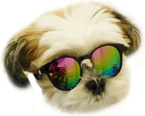 Vista 18 de G014 Dog Cat Pet - Gafas de sol de los años 80 para razas pequeñas de hasta 15 libras (paquete de 2 unidades, negro + espejo negro-azul)