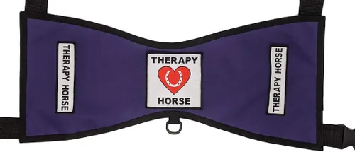 Vista 2 de Chaleco terapéutico para caballo #1 – Deluxe (tamaño 1 (altura 18"-24" en cruz) W, negro)