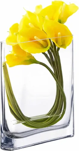 Vista 11 de CYS EXCEL Jarrón de Cristal para Libros (H:6" Apertura:7"x2") Jarrón de Flores Ovalado con Borde Redondo Rectangular Centro de Mesa para Bodas