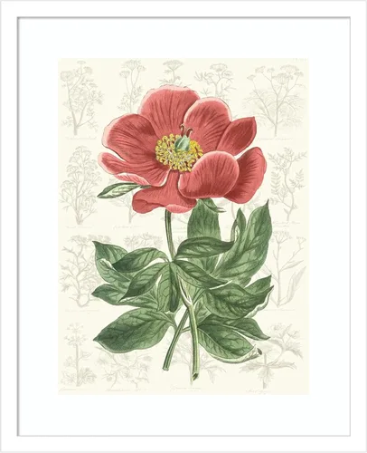 Vista 12 de Amanti Art Vision Studio - Lienzo decorativo para pared, 24 x 20 pulgadas, diseño de jardín de flores de peonía, arte de pared de flores, decoración