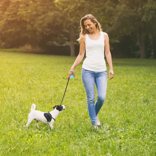 Vista 6 de Correa retráctil para perros pequeños y medianos de hasta 22 libras con cinta de nailon fuerte de 9.8 pies, manos libres, correa portátil y ligera
