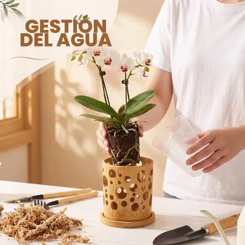 Vista 4 de Juego de 2 macetas de orquídeas con agujeros de 4 pulgadas