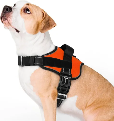 Vista 9 de rabbitgoo Arnés para perro pequeño, chaleco fácil de poner para mascotas con una hebilla, arnés de servicio ajustable sin tirones con anillo en D