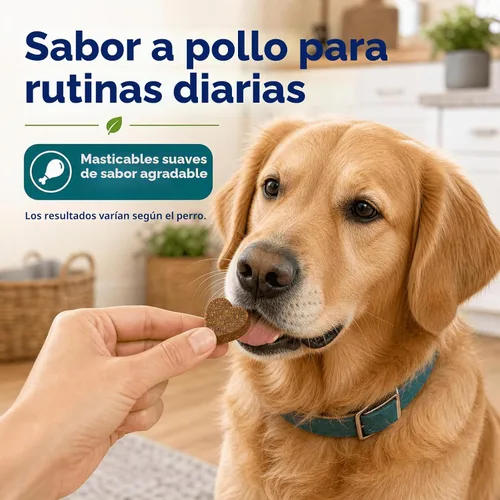 Vista 7 de Probióticos masticables suaves para perros con 160 mg de enzimas de calabaza y papaya – 90 unidades – Soporte intestinal 4 en 1 para comodidad