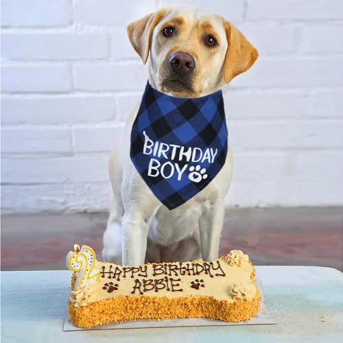 Vista 6 de STMK Paquete de 2 pañuelos de cumpleaños para perros, cumpleaños de perro niño y niña, bandana a cuadros triangulares para perros