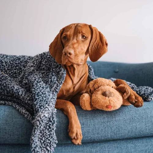 Vista 2 de Snuggle Puppy - Juguete original para cachorros con pulso y paquete de calor de sensación real, ayuda calmante para dormir para la ansiedad