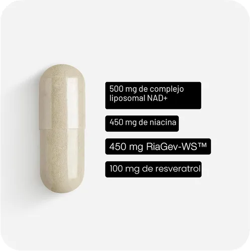 Vista 3 de Toniiq Suplemento NAD+ 1500mg - Suplemento NAD de Ultra Alta Potencia con Ingredientes Clínicamente Estudiados con RiaGev-WS™ Patentado, Resveratrol