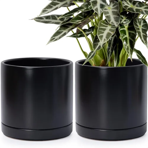 Vista 13 de D'vine Dev - Juego de 2 macetas de plantas de 3.5 pulgadas, maceta de cerámica para plantas con agujero de drenaje y platillo, negra, 94-V-A-2