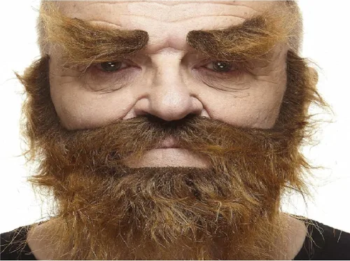 Vista 13 de Mustaches Fake Facial Hair Set, Beard, Eyebrows, Self-Adhesive Rey medieval negro