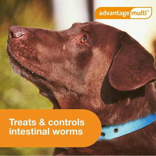 Vista 9 de Advantage Multi Solución tópica para perros 1 dosis, 88.1-110 lbs (marrón)
